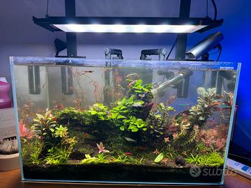 Acquario Waterbox