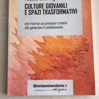 Culture Giovanili e Spazi Trasformativi