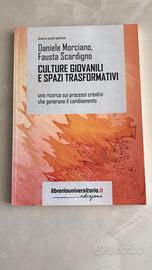 Culture Giovanili e Spazi Trasformativi
