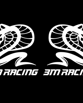 Coppia adesivi 3M racing con cobra colore a scelta