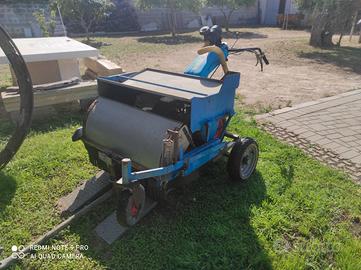 Scopatrice raccoglitrice olive