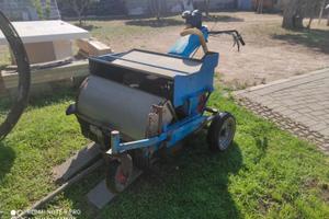 Scopatrice raccoglitrice olive