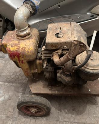 Motozzappa d'Epoca