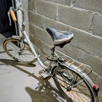 Bicicletta unisex