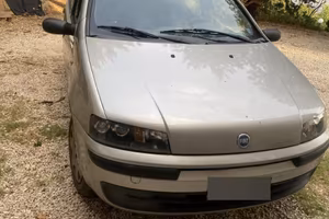 Fiat punto gpl