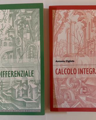 Calcolo differenziale integrale Antonio Cigliola