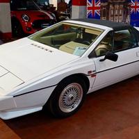 Lotus 79 Esprit
