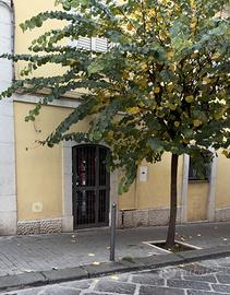 Appartamento arredato in Via Marconi