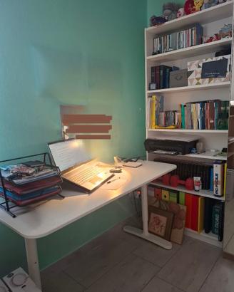 Libreria + Scrivania regolabile