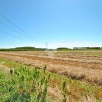 MAGAZZINO A RONDISSONE