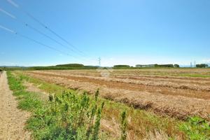 MAGAZZINO A RONDISSONE