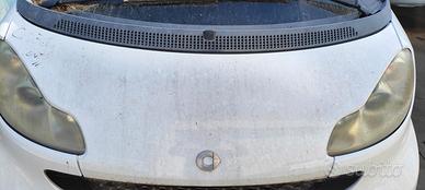 SMART 451 2008 COFANO ANTERIORE