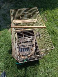 gabbia per pappagalli 