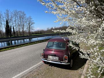 Mini MayFair Storica 1989