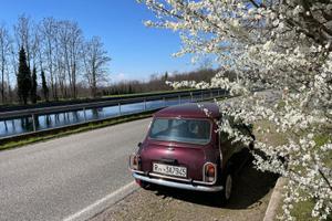 Mini MayFair Storica 1989