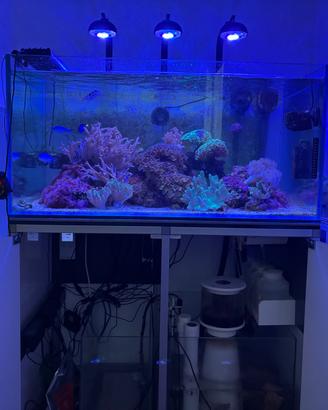 Acquario Marino completo
