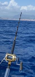 Canna shimano