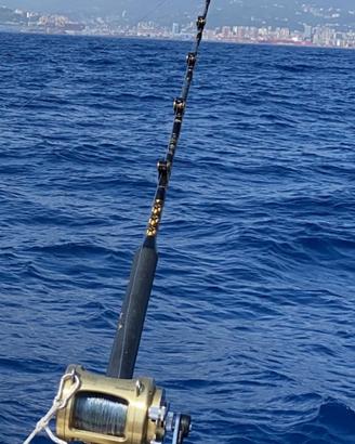 Canna shimano