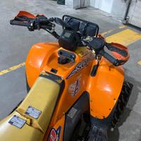 Altro Altro modello - 2007