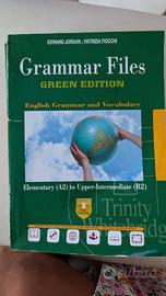 Libro Grammar Files green edizion