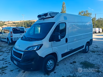 PEUGEOT BOXER FRIGORIFERO