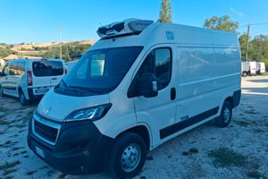 PEUGEOT BOXER FRIGORIFERO