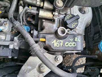 Lancia musa