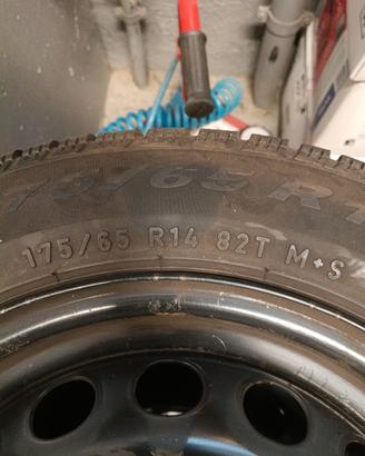 gomme cerchi calotte panda