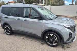ford tourneo active 