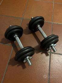 Manubri con pesi in ghisa