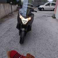 Vendita scooter usato