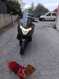 Vendita scooter usato