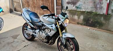 Honda Hornet 600 DPM 2006