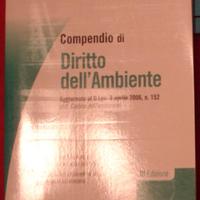 diritto ambiente Guzzo 2006 Simone