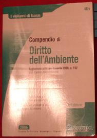 diritto ambiente Guzzo 2006 Simone