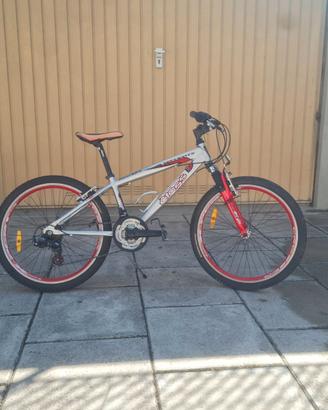 2 MTB bambino/ragazzo 20”+ 24” Vector + Atala