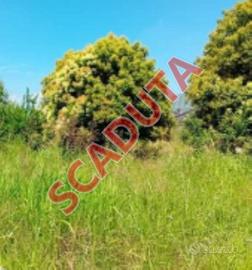 Immobile in asta di 13 m² a San Tammaro