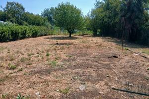 Terreno agricolo recintato