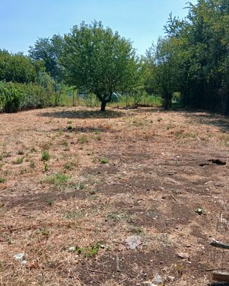 Terreno agricolo recintato