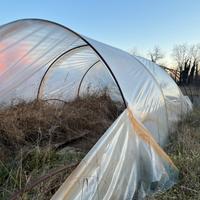 Archi serra larghezza 4-5 mt