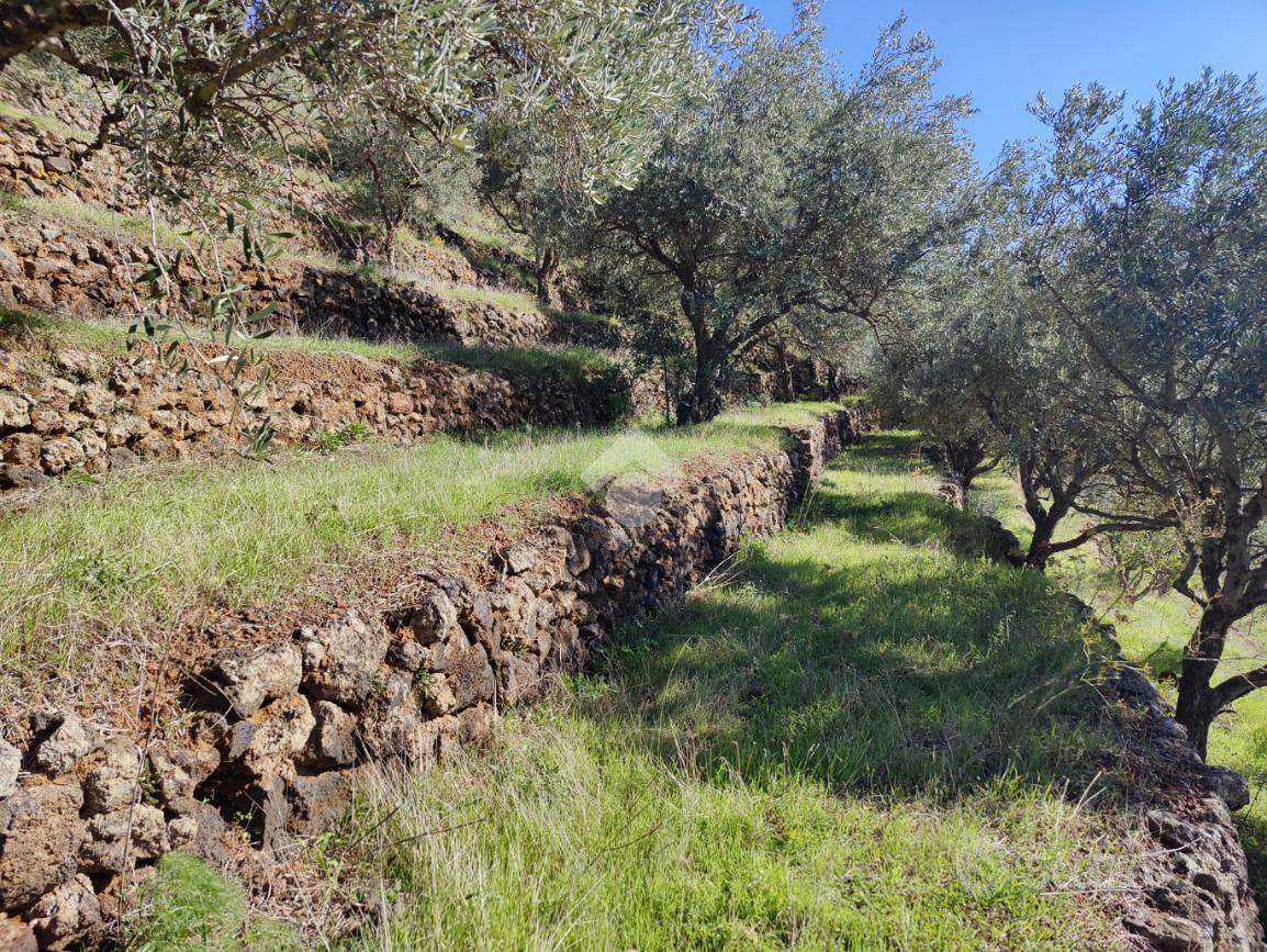 TER. AGRICOLO A LINGUAGLOSSA - Vista 2