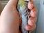 Immagine 1