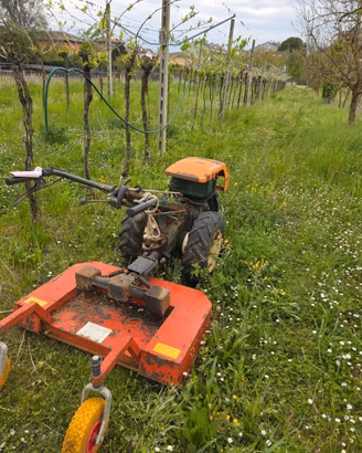 Motocoltivarore Goldoni 140 special e attrezzi