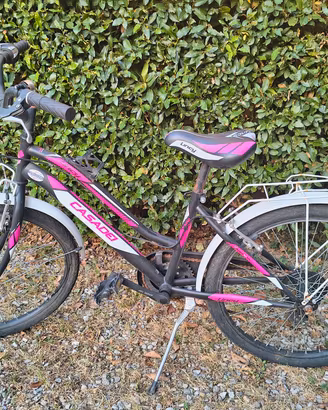 Bicicletta Ragazza Cicli Casadei Lincy - Ruota 24"