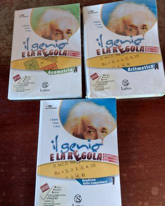 Il genio e la regola 