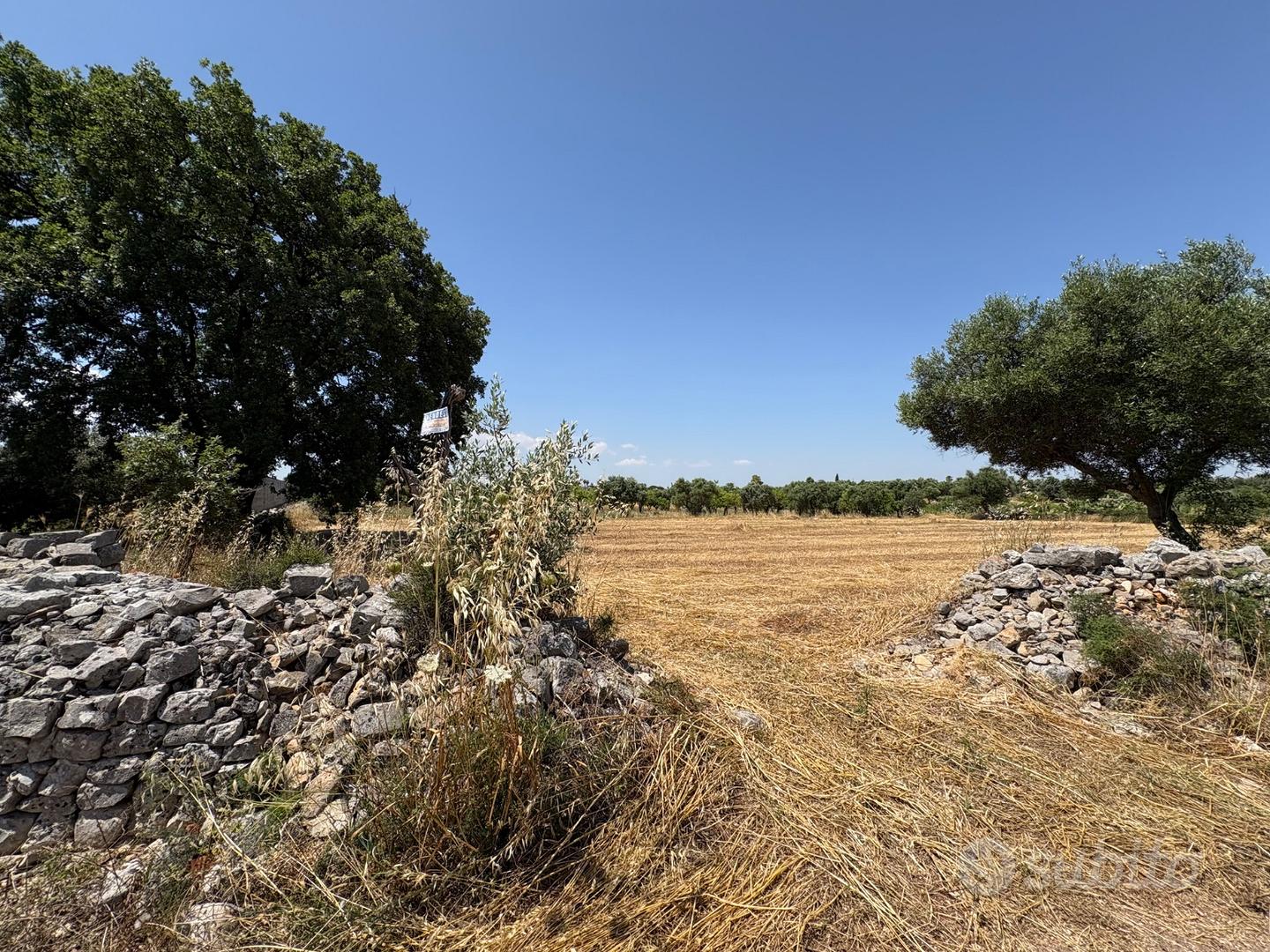 Terreno agricolo - Vista 2