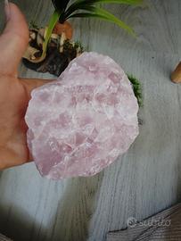 accessori acquario pesci 