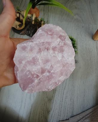 accessori acquario pesci 