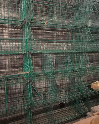 Cesta in rete autoportanti plastificate usate