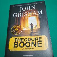 Theodore Boone  L'accusato 